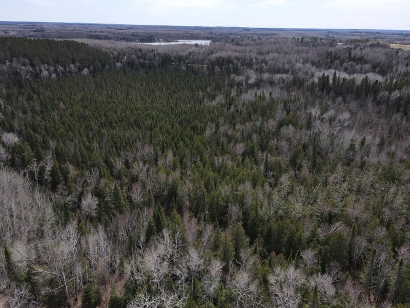 TBD Co Rd 40, Effie, MN 56639