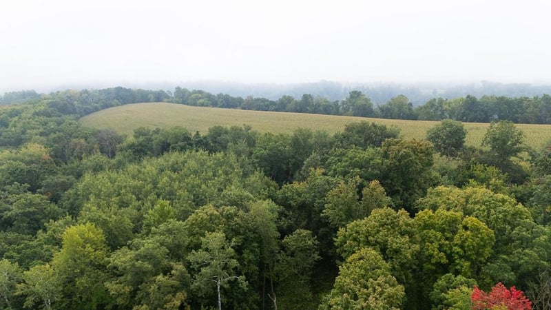 0 Goat Back Rd, Pepin, WI 54759