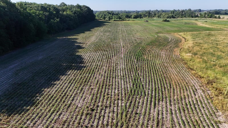 TBD Nightingale St, Braham, MN 55006