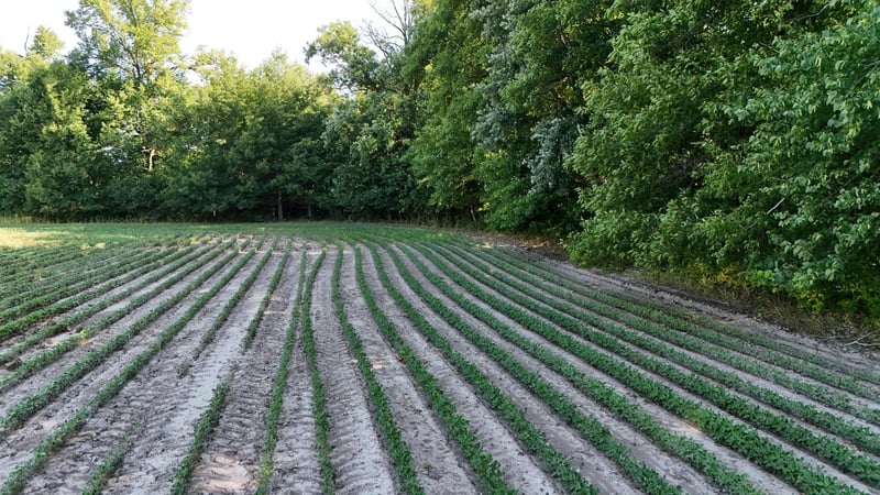 TBD Nightingale St, Braham, MN 55006