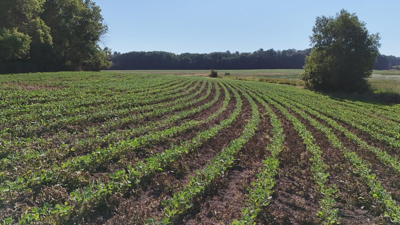 TBD Nightingale St, Braham, MN 55006