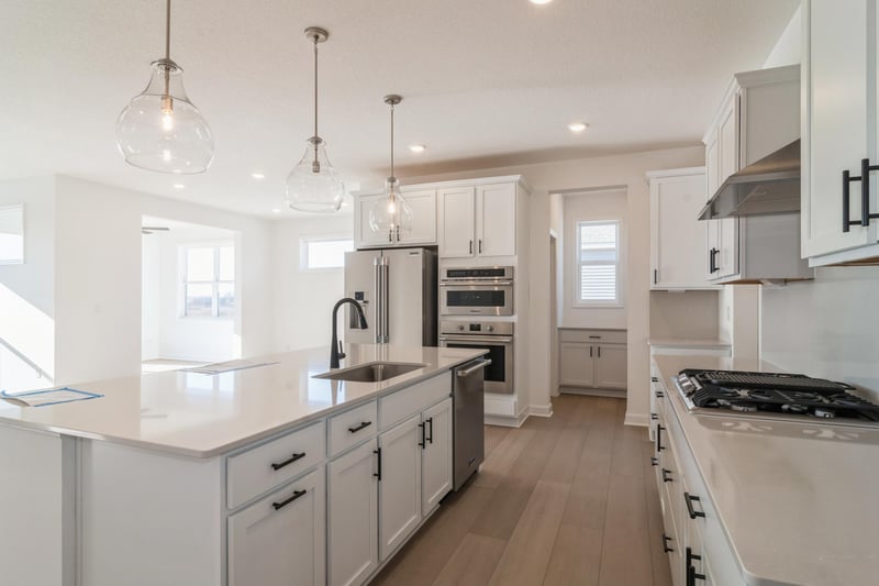 20141 Ginseng Way, Lakeville, MN 55044