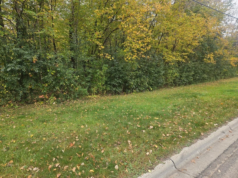 1077 S Shore Dr, Detroit Lakes, MN 56501