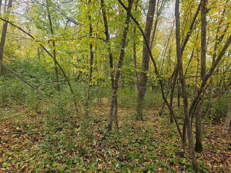 1077 S Shore Dr, Detroit Lakes, MN 56501