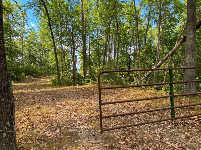 1642 20th St NW, Backus, MN 56435