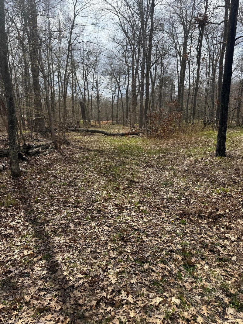 TBD County Road 16, Pequot Lakes, MN 56472