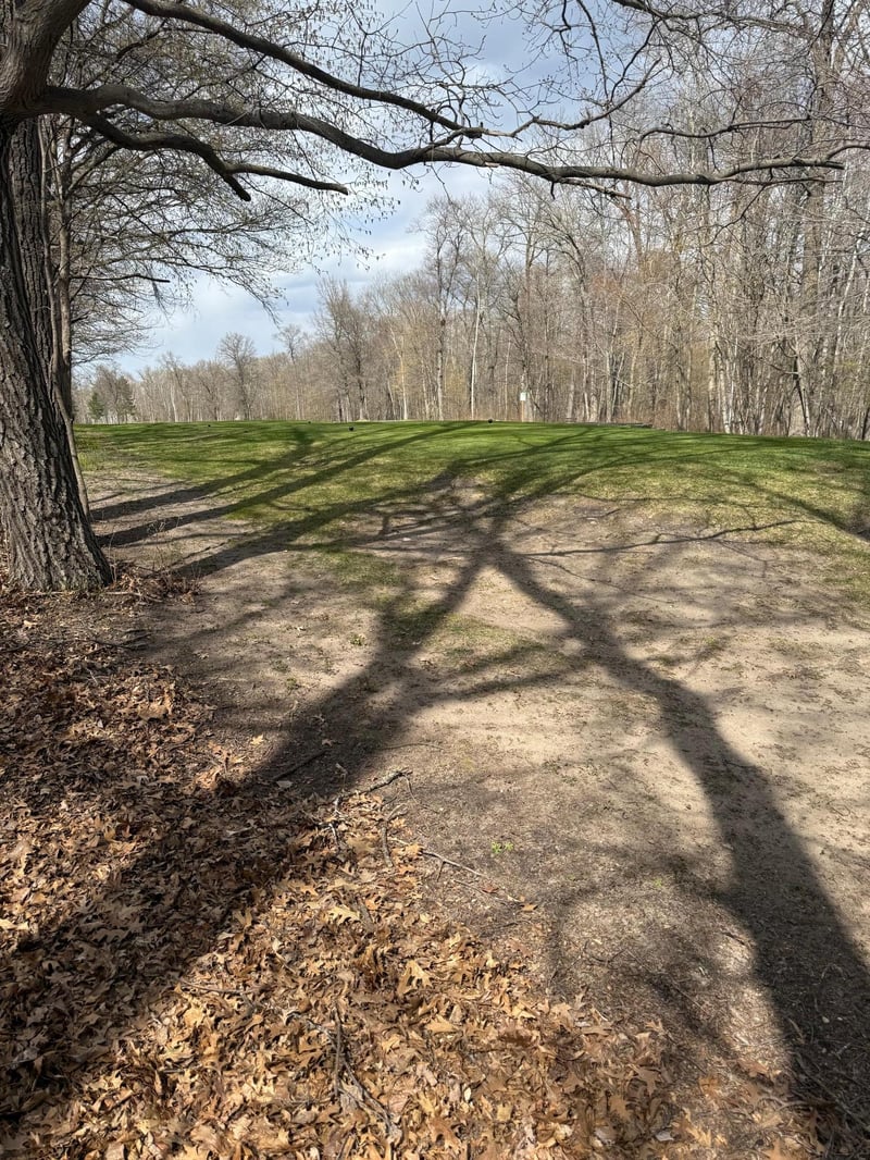 TBD County Road 16, Pequot Lakes, MN 56472