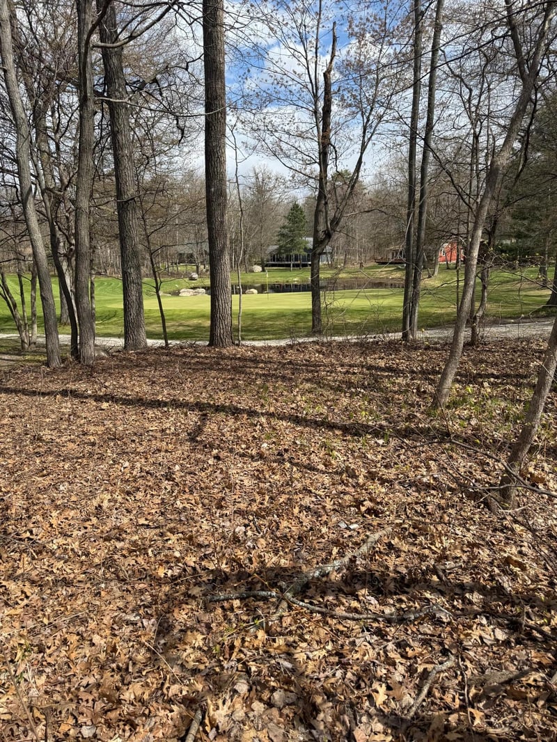 TBD County Road 16, Pequot Lakes, MN 56472