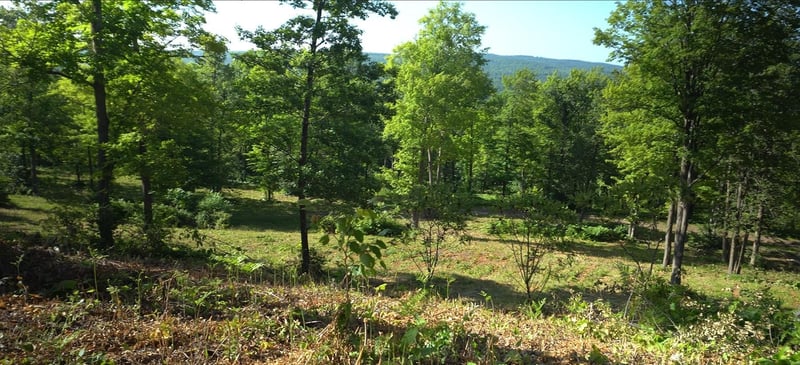 83xxx - Lot 12 Ashwabay Rd, Bayfield, WI 54814