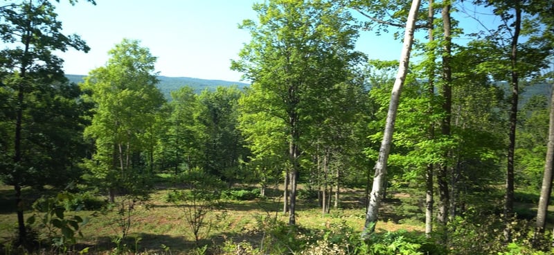83xxx - Lot 12 Ashwabay Rd, Bayfield, WI 54814