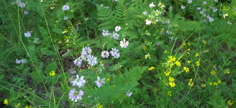 83xxx - Lot 13 Ashwabay Rd, Bayfield, WI 54814
