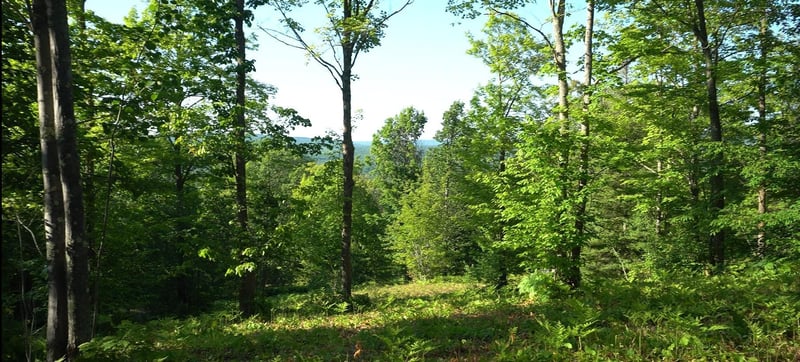 83xxx - Lot 13 Ashwabay Rd, Bayfield, WI 54814