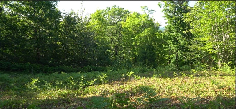 83xxx - Lot 13 Ashwabay Rd, Bayfield, WI 54814