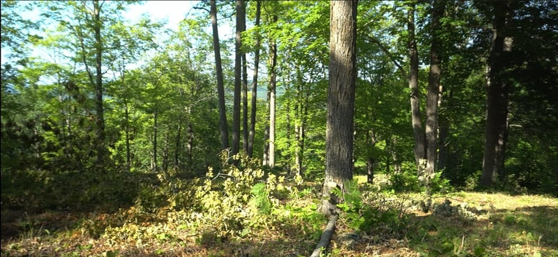 83xxx - Lot 11 Ashwabay Rd, Bayfield, WI 54814
