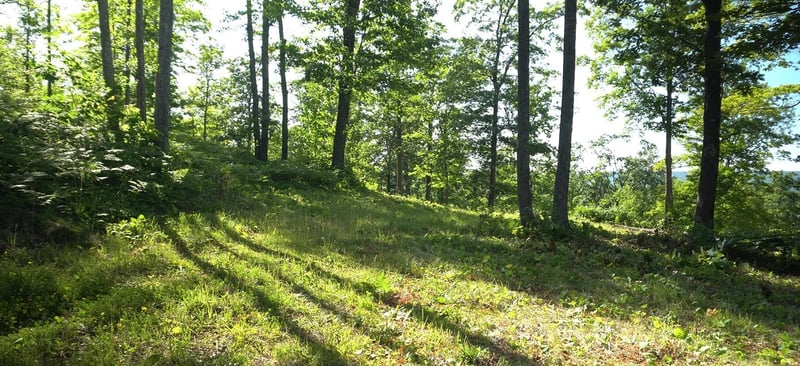 83xxx - Lot 11 Ashwabay Rd, Bayfield, WI 54814