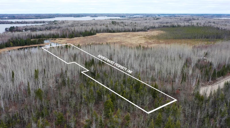 TBD Parcel 15 Hwy 115, Tower, MN 55790