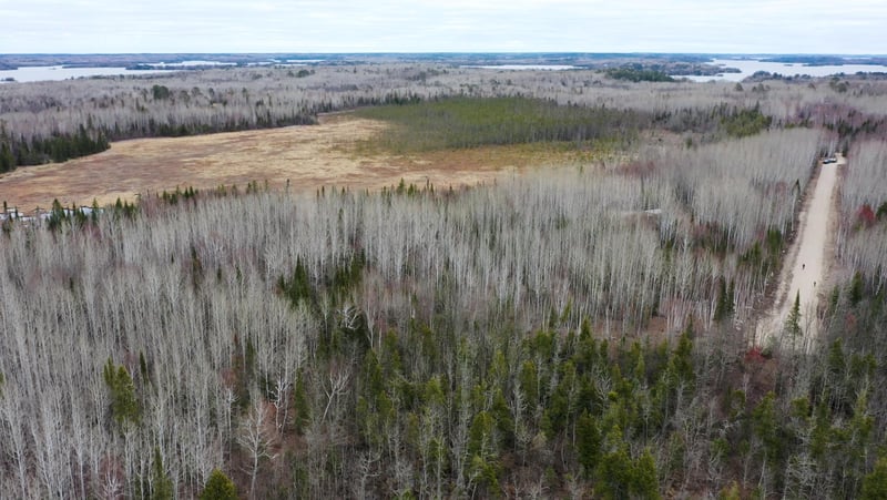 TBD Parcel 15 Hwy 115, Tower, MN 55790