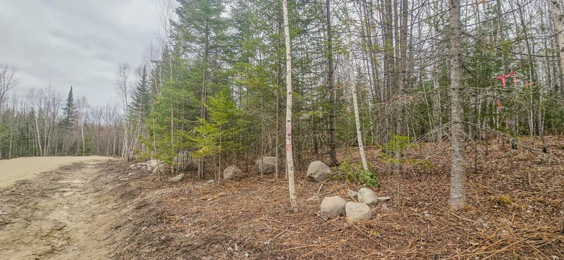 TBD Parcel 15 Hwy 115, Tower, MN 55790