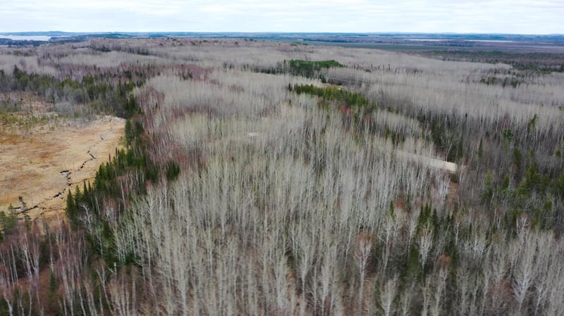 TBD Parcel 15 Hwy 115, Tower, MN 55790