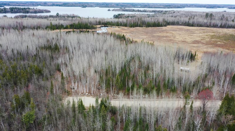 TBD Parcel 15 Hwy 115, Tower, MN 55790