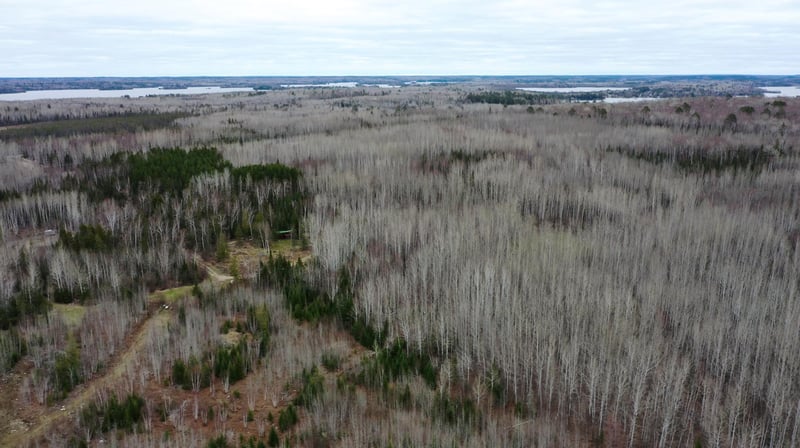 TBD Parcel 20 Hwy 115, Tower, MN 55790