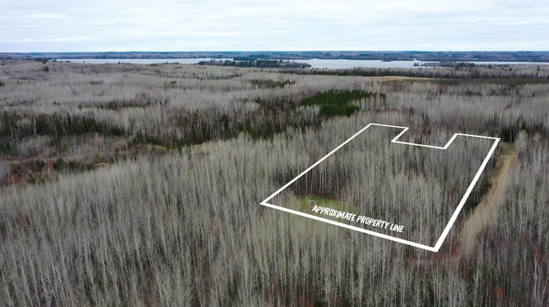 TBD Parcel 20 Hwy 115, Tower, MN 55790