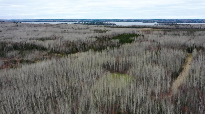 TBD Parcel 20 Hwy 115, Tower, MN 55790