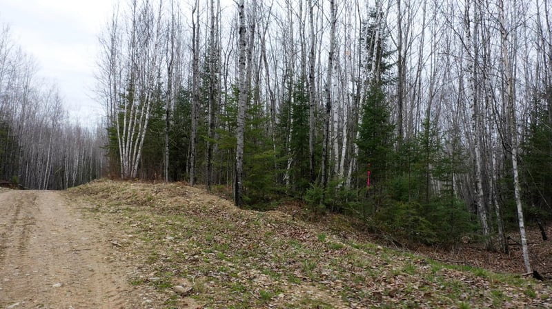 TBD Parcel 20 Hwy 115, Tower, MN 55790