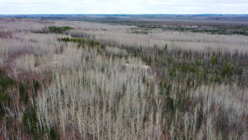 TBD Parcel 20 Hwy 115, Tower, MN 55790