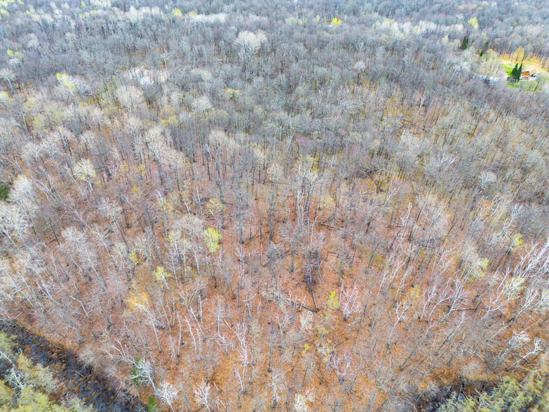 TBD 235th Pl, Mcgregor, MN 55760