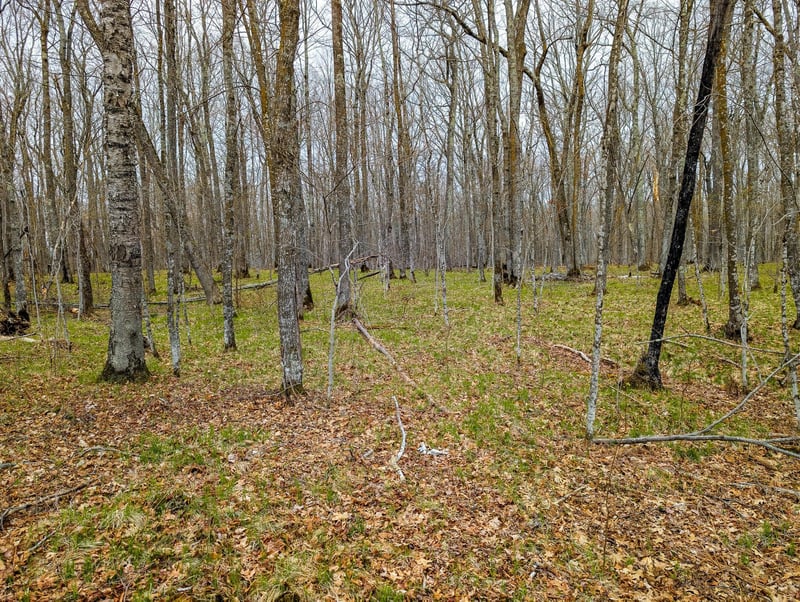 TBD 235th Pl, Mcgregor, MN 55760
