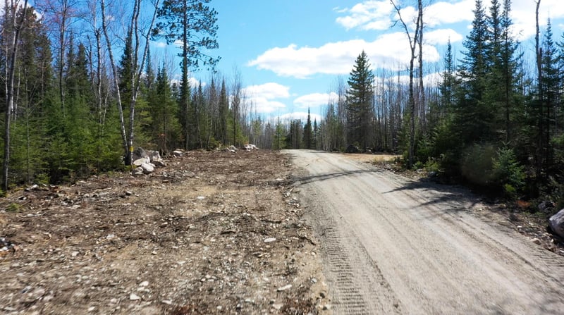 TBD Parcel G Frazer Bay Rd, Cook, MN 55723