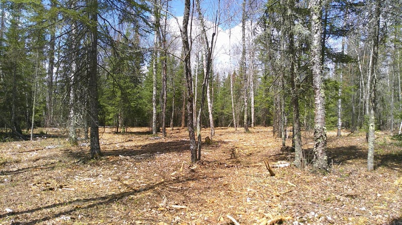 TBD Parcel G Frazer Bay Rd, Cook, MN 55723