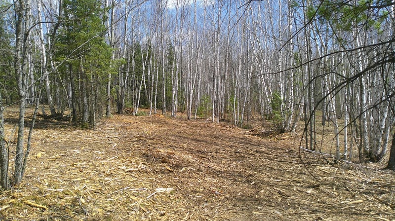 TBD Parcel I Frazer Bay Rd, Cook, MN 55723