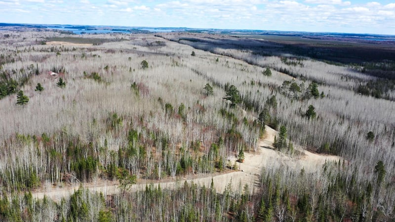 TBD Parcel U Frazer Bay Rd, Cook, MN 55723