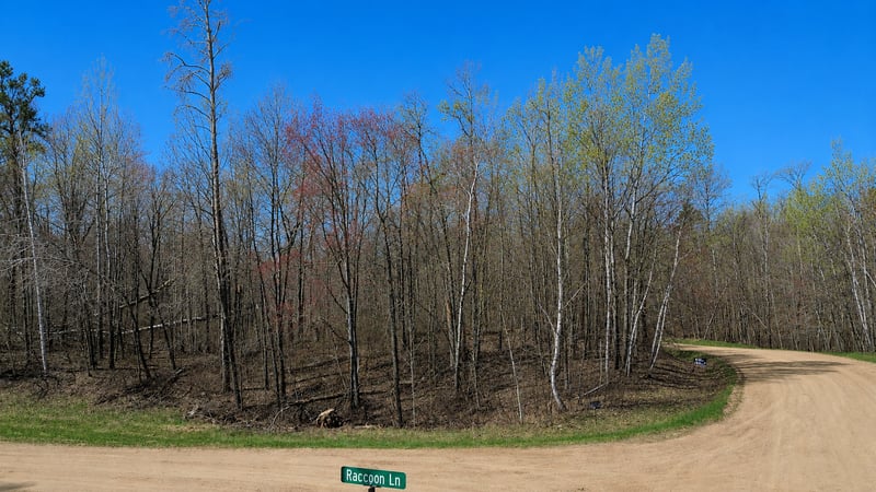 TBD Flower Trl, Breezy Point, MN 56472