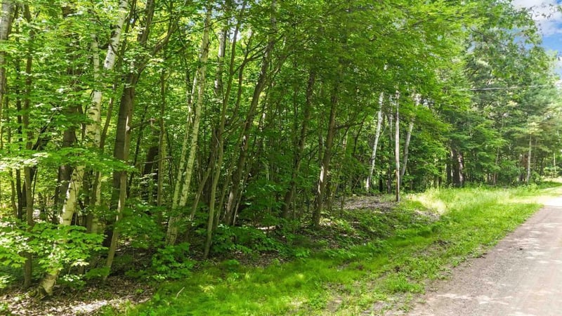 Lots B - C 389th Ave, Aitkin, MN 56431