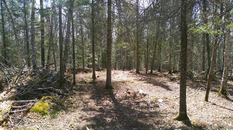 Parcel W Tbd Frazer Bay Rd, Cook, MN 55723