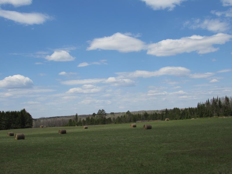 TBD Farm To Market, Sturgeon Lake, MN 55783