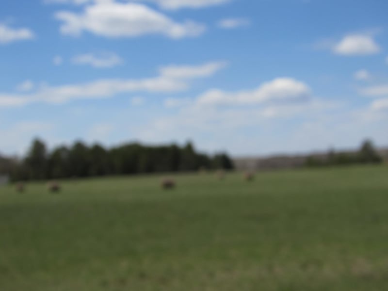 TBD Farm To Market, Sturgeon Lake, MN 55783