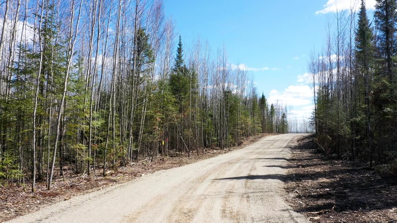 TBD Parcel Y Frazer Bay Rd, Cook, MN 55723