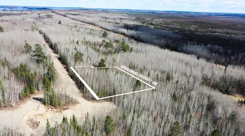 TBD Parcel Y Frazer Bay Rd, Cook, MN 55723