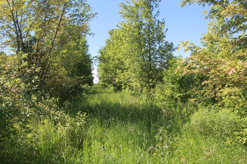 TBD 60th St, Blue Earth, MN 56013