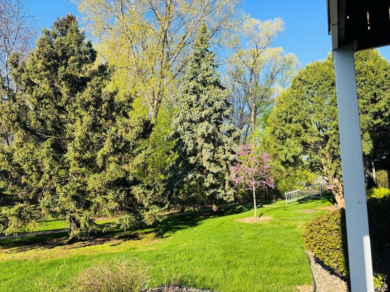 6313 Alderwood Bay #D, Woodbury, MN 55125