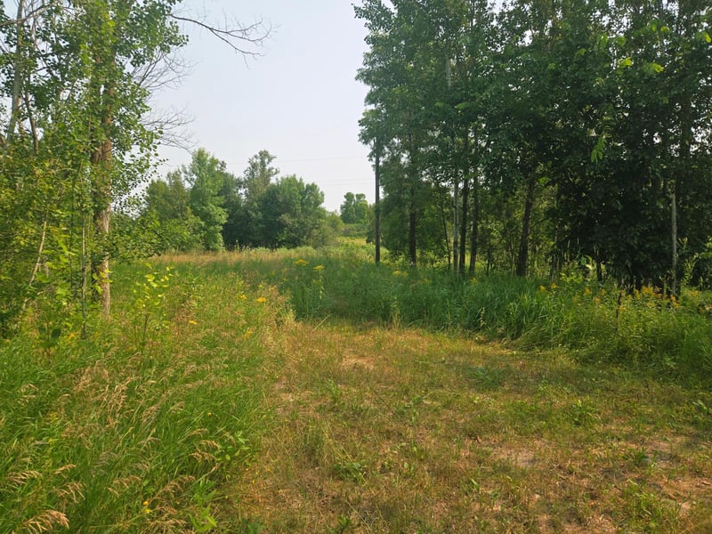183XX 302nd Ave, Detroit Lakes, MN 56501