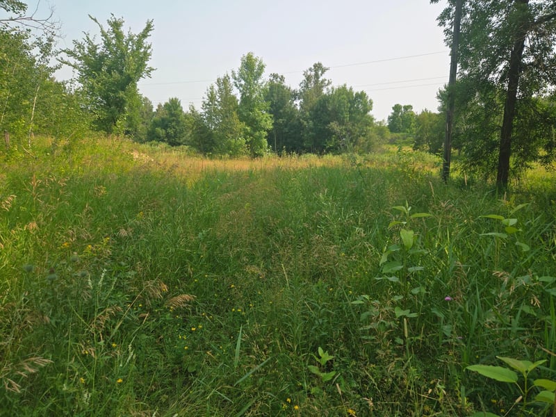 183XX 302nd Ave, Detroit Lakes, MN 56501