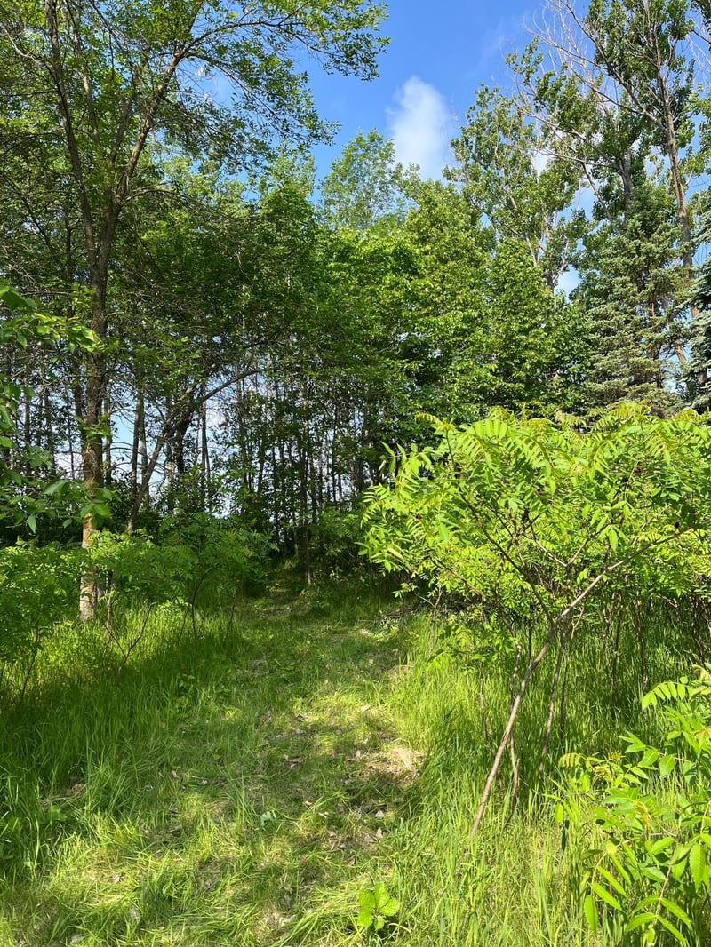 TBD Wild Rose Trl, Frazee, MN 56544