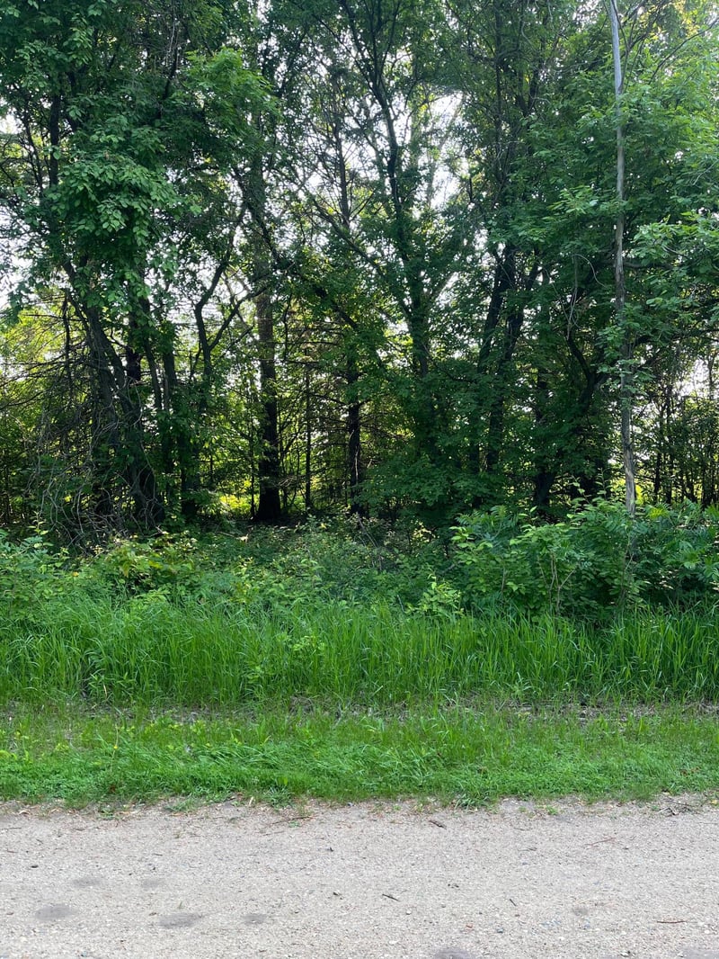 TBD Wild Rose Trl, Frazee, MN 56544