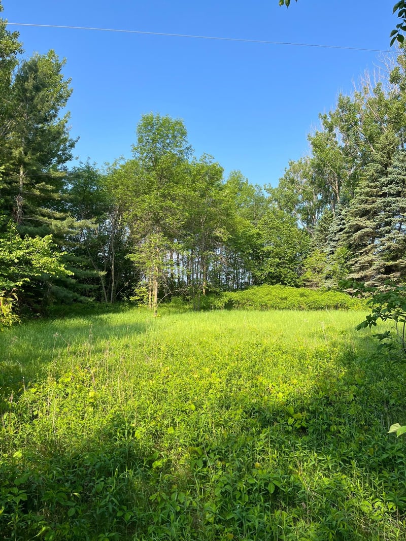 TBD Wild Rose Trl, Frazee, MN 56544