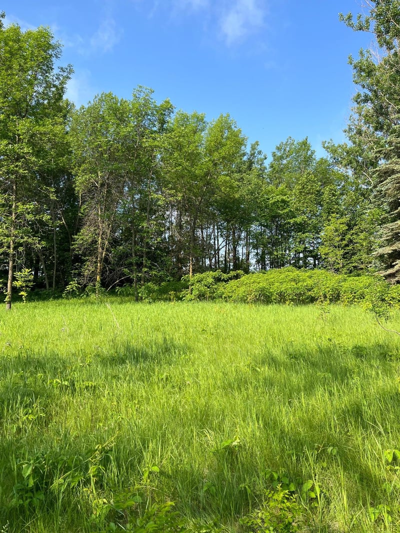 TBD Wild Rose Trl, Frazee, MN 56544